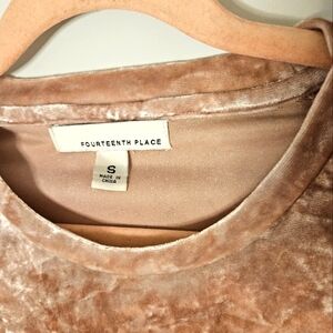 Blush crush velvet top